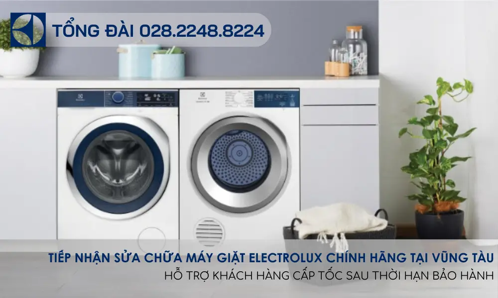 trung-tam-sua-may-giat-electrolux-tai-vung-tau-66b9ac2913268