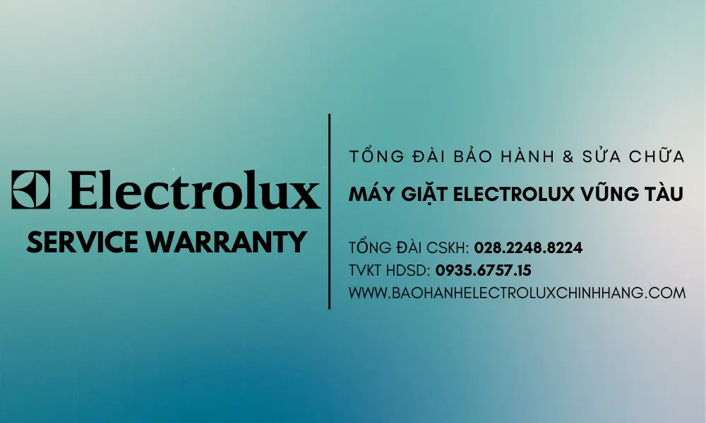 trung-tam-sua-may-giat-electrolux-tai-vung-tau-66b9ac291d4b7