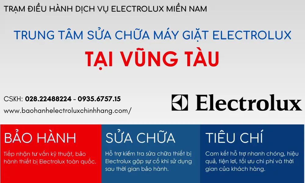 trung-tam-sua-may-giat-electrolux-tai-vung-tau-66b9ac293e875